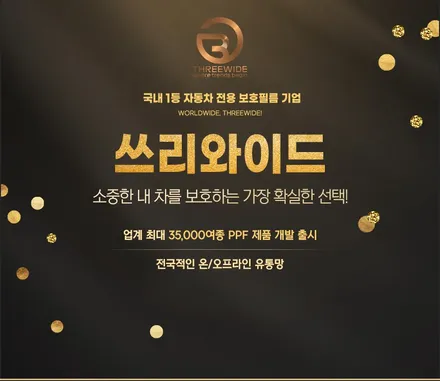 포르쉐 파나메라 앞범퍼 PPF 시공했어요 / 성남,판교,분당.강남