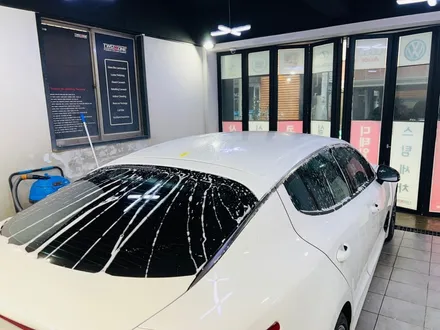 울산 블랙ppf 차별화된 광도로 완성된 기아 스팅어 / 울산 남구
