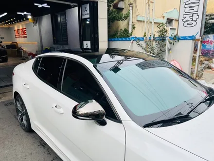 울산 블랙ppf 차별화된 광도로 완성된 기아 스팅어 / 울산 남구