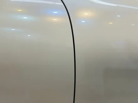 울산자동차랩핑 도장과 흡사한 고광택 랩핑 커스텀가든 / 울산 남구