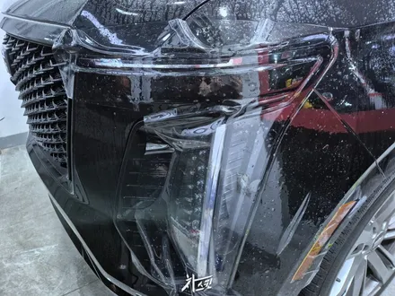 신차 ppf 필름 확인이 중요한 이유 / 인천 서구 청라동