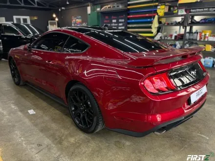 [대구] PPF 전문점 Ford mustang GT 포드 신형 머스탱 루프 블랙 PPF 셀프 힐링 컨버터블 / 대구 수성구