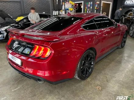 [대구] PPF 전문점 Ford mustang GT 포드 신형 머스탱 루프 블랙 PPF 셀프 힐링 컨버터블 / 대구 수성구