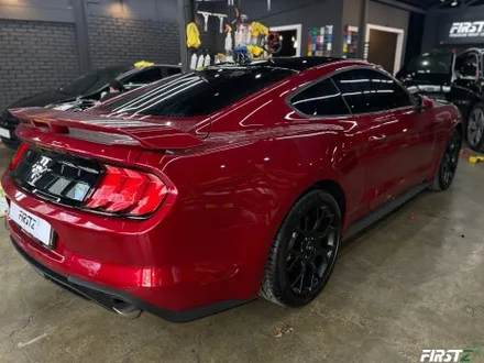 [대구] PPF 전문점 Ford mustang GT 포드 신형 머스탱 루프 블랙 PPF 셀프 힐링 컨버터블 / 대구 수성구
