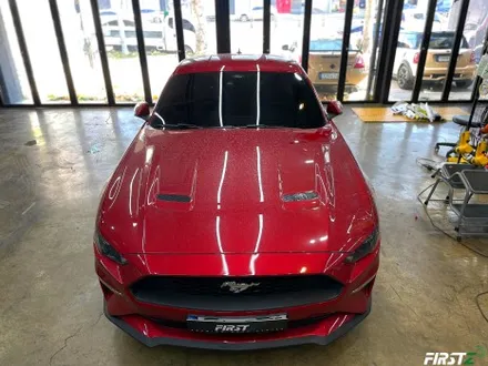 [대구] PPF 전문점 Ford mustang GT 포드 신형 머스탱 루프 블랙 PPF 셀프 힐링 컨버터블 / 대구 수성구