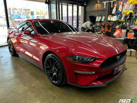 [대구] PPF 전문점 Ford mustang GT 포드 신형 머스탱 루프 블랙 PPF 셀프 힐링 컨버터블 / 대구 수성구