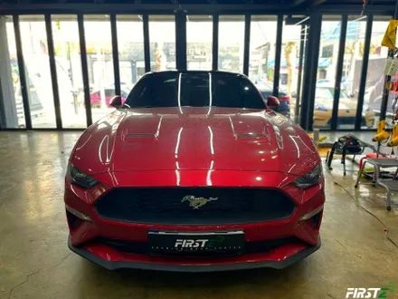 [대구] PPF 전문점 Ford mustang GT 포드 신형 머스탱 루프 블랙 PPF 셀프 힐링 컨버터블 / 대구 수성구