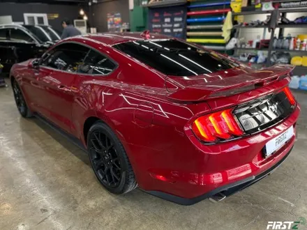 [대구] PPF 전문점 Ford mustang GT 포드 신형 머스탱 루프 블랙 PPF 셀프 힐링 컨버터블 / 대구 수성구