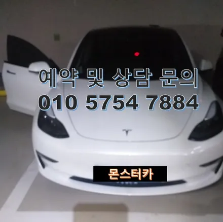 전기자동차 에어컨냄새제거 송풍구악취 에바크리닝 테슬라 서울 출장후기 / 성남, 분당, 판교