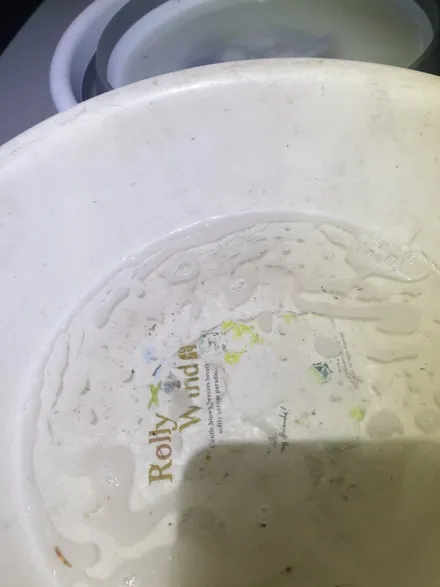 에바크리닝 청소 테슬라 곰팡이냄새 개포동시공후기 / 성남시 중원구 은행동