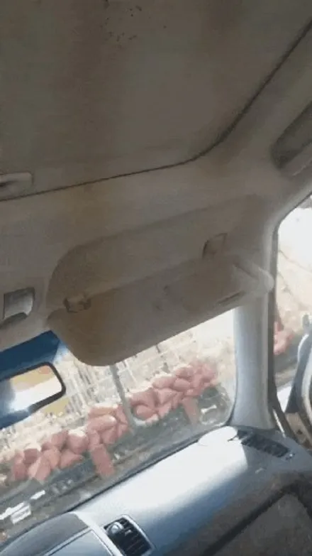쏘울 오랜방치로 인한 곰팡이 빗물제거 성남판교 출장세차크리닝 후기입니다 / 성남, 분당, 판교