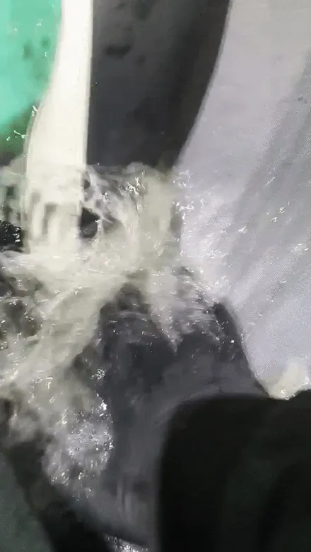 자동차 통풍 시트 라면 국물 제거 음식물 국물 냄새제거 의왕시 출장세차 / 성남, 분당, 판교