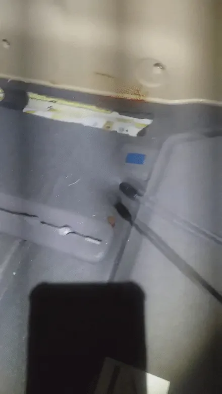 자동차 음식물 고추장 제거 실내크리닝 카니발 시트레일 탈거 세차 / 성남, 분당, 판교