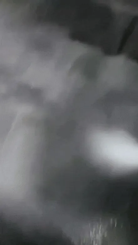 야탑출장세차 폭스바겐cc차량 실내등유바닥매트 탈거세차 / 성남시 중원구 은행동