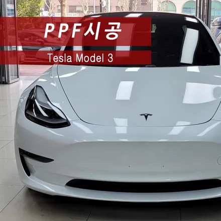 테슬라 모델 3 앞범퍼 PPF시공 및 생활보호패키지 / 성동구 용답동