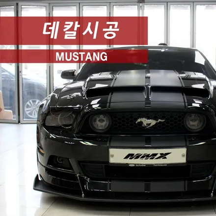 머스탱 스트라이프 작업도 장안동 데칼 전문 MMX로~ / 성동구 용답동