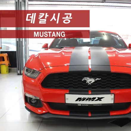 머스탱 스트라이프 라인 데칼 작업 / 성동구 용답동
