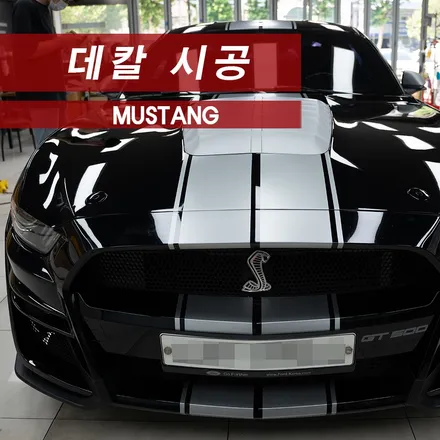 포드 머스탱 쉘비 GT500 데칼시공 MMX / 성동구 용답동