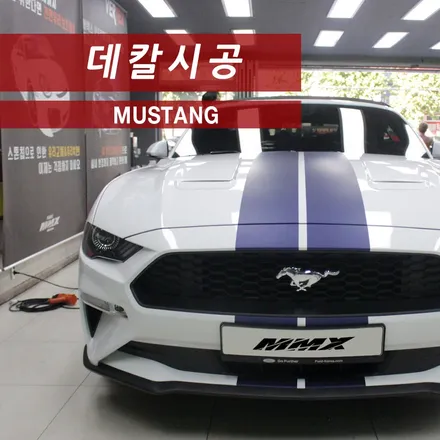 머스탱 컨버터블 무광 블루 메탈릭 스트라이프 데칼 / 성동구 용답동