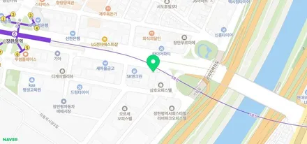 아이오닉 전기차 루프스킨 / 성동구 용답동