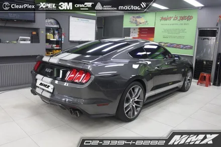 머스탱GT 사이드 GT500데칼 바이퍼라인 데칼 / 성동구 용답동