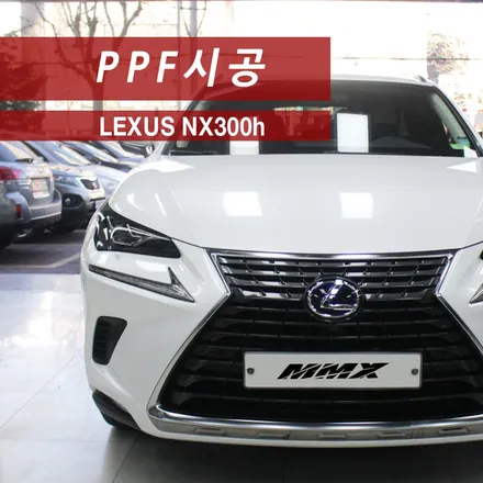 렉서스 NX300h 자동차 PPF 생활보호패키지 / 성동구 용답동