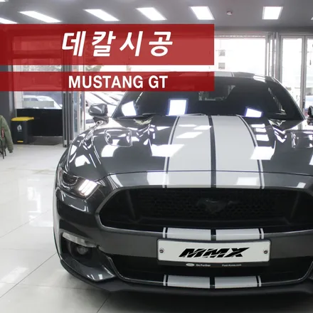머스탱GT 사이드 GT500데칼 바이퍼라인 데칼 / 성동구 용답동