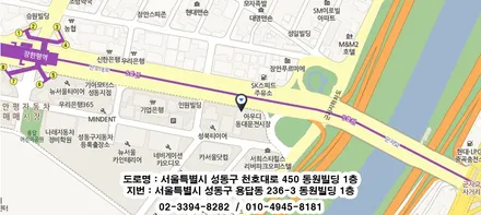 켄블락의 몬스터 데칼을 닮은 머스탱GT 바이퍼라인 스트라이프 데칼 시공기! 카스킨/랩핑/데칼 전문 프로샵 MMX / 성동구 용답동