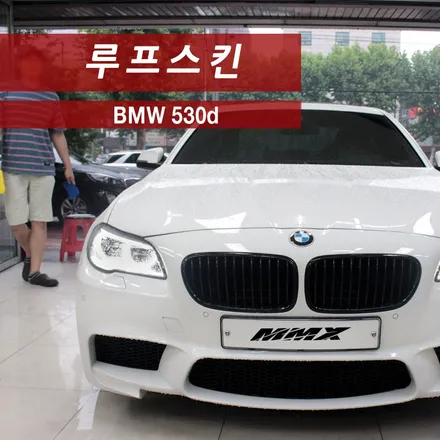 BMW 530d (F10) 루프스킨 잘하는 방법 / 성동구 용답동