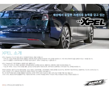 더 뉴 아우디 R8. 신차 PPF는 필수죠! / 성동구 용답동