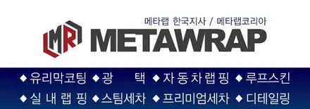 광주손세차 벌레,묶은때 완전 깔끔히 제거하기! / 광주 서구