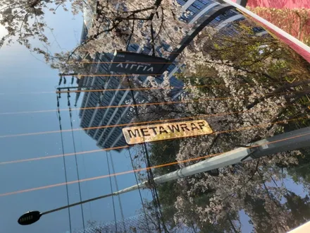 아우디A6 베이지 고광택 PET 전체랩핑