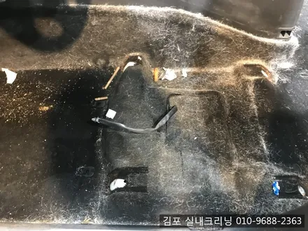 김포실내크리닝 으로 개털과 묵은때를 날려 버려요~ / 김포시 마산동