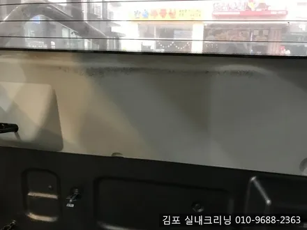 김포실내크리닝 으로 개털과 묵은때를 날려 버려요~ / 김포시 마산동