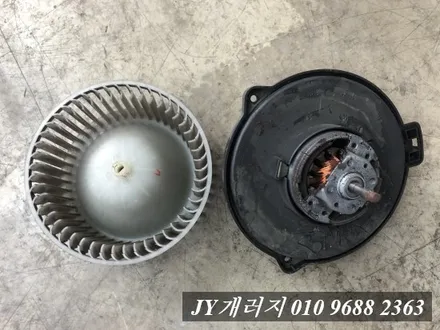 일산탄현동 에바크리닝 전문점 디스커버리 에바크리닝 / 김포시 마산동