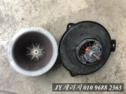 일산탄현동 에바크리닝 전문점 디스커버리 에바크리닝 / 김포시 마산동