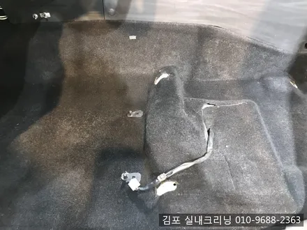 김포실내크리닝 으로 개털과 묵은때를 날려 버려요~ / 김포시 마산동