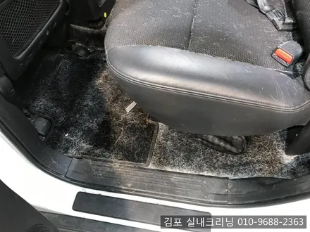 김포실내크리닝 으로 개털과 묵은때를 날려 버려요~ / 김포시 마산동