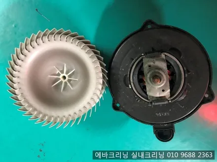 목동 출장에바크리닝 k5에바크리닝 / 김포시 마산동