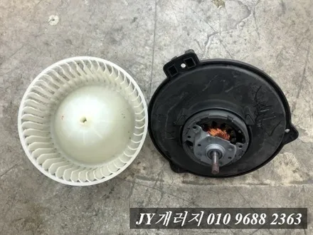 일산탄현동 에바크리닝 전문점 디스커버리 에바크리닝 / 김포시 마산동