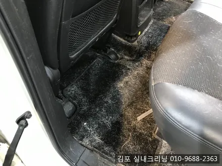 김포실내크리닝 으로 개털과 묵은때를 날려 버려요~ / 김포시 마산동
