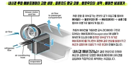 김포실내세차 전문점에서 아반테HD 실내크리닝 에바크리닝 / 김포시 마산동