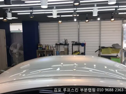 xm3 루프스킨 생활ppf 김포ppf / 김포시 마산동