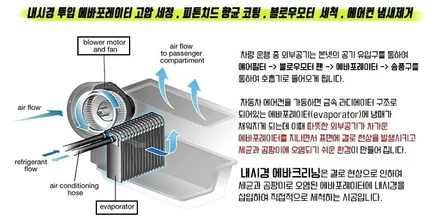 김포장기동 쏘렌토R출장에바크리닝 김포에바크리닝 / 김포시 마산동