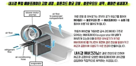 강남논현동에바크리닝 아우디a6출장에바크리닝 / 김포시 마산동