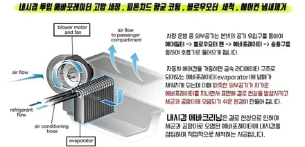 김포에바크리닝 k3에바크리닝 / 김포시 마산동