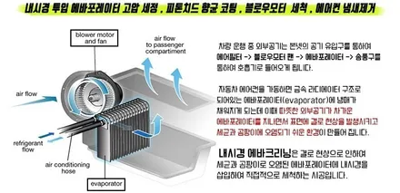 담배냄새에도 에바크리닝작업 김포에바크리닝 / 김포시 마산동