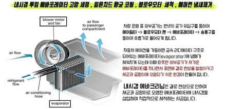 강남 에바크리닝 아우디a4출장 에바크리닝 / 김포시 마산동