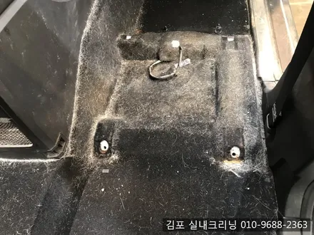 김포실내크리닝 으로 개털과 묵은때를 날려 버려요~ / 김포시 마산동