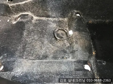 김포실내크리닝 으로 개털과 묵은때를 날려 버려요~ / 김포시 마산동